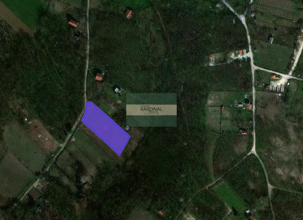 Prodaja, plac, 2451m², Đurđevo brdo, Jagodina