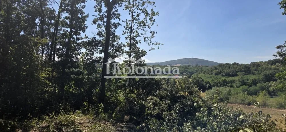Pogled na šumu i prirodu u okolini.