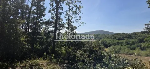 Pogled na šumu i prirodu u okolini. - image 3