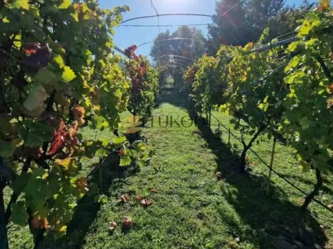 Sale, house, 160m², Čerević, Beočin - image 13