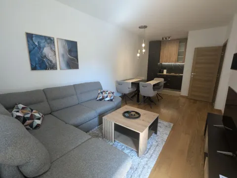 Rent, one bedroom apartment, 50m², New City, Podgorica - image 2