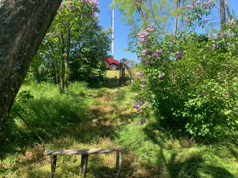 Prodaja, plac, 1728m², Palilula, Niš - image 2