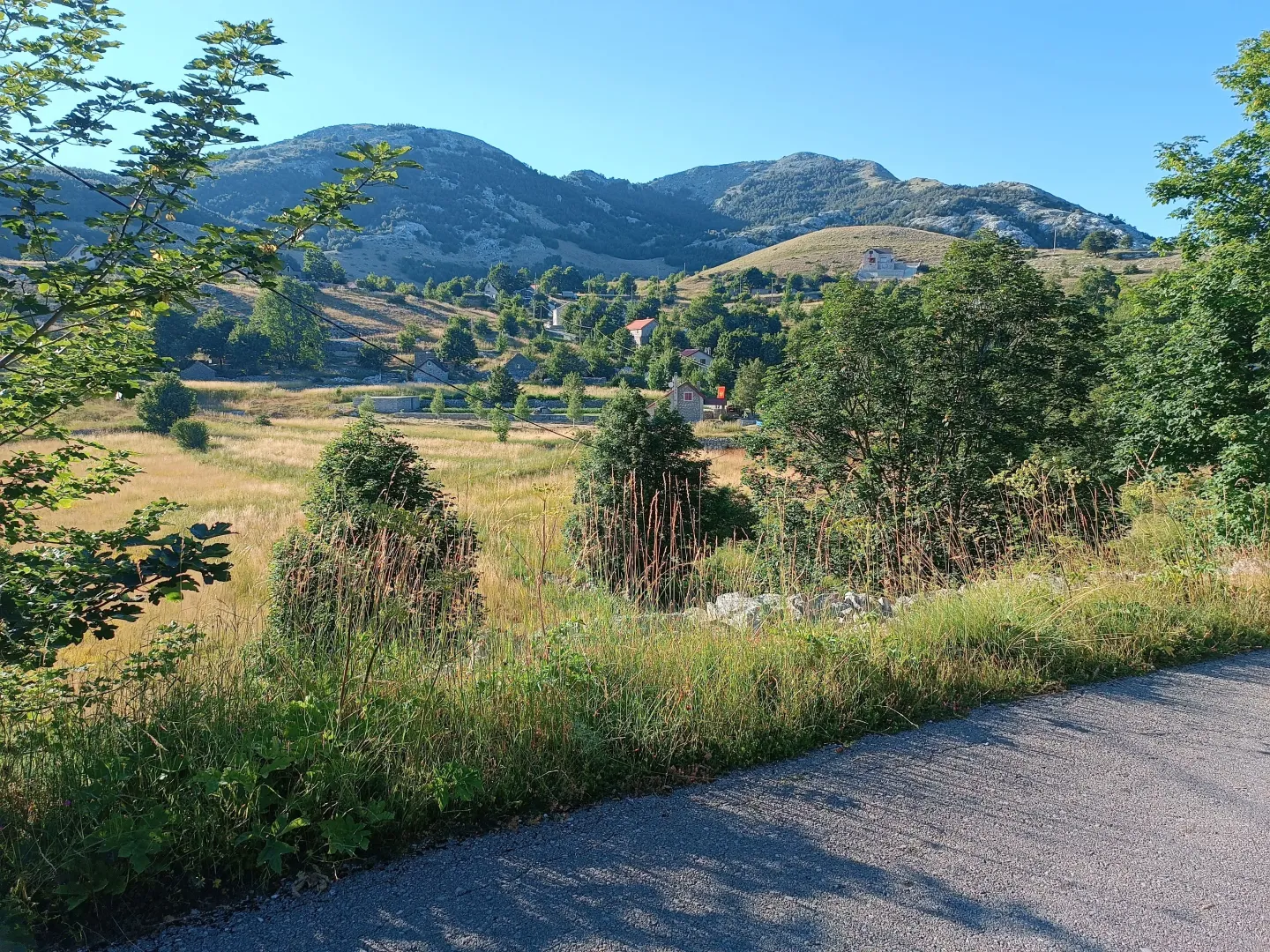 Prodaja, plac, 9000m², Ivanova Korita, Cetinje