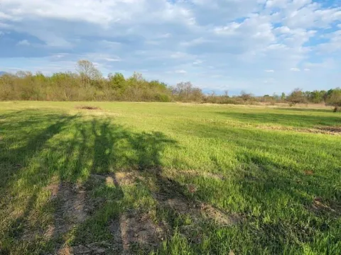 Prodaja, plac, 5554m², Jastreb, Danilovgrad - image 3