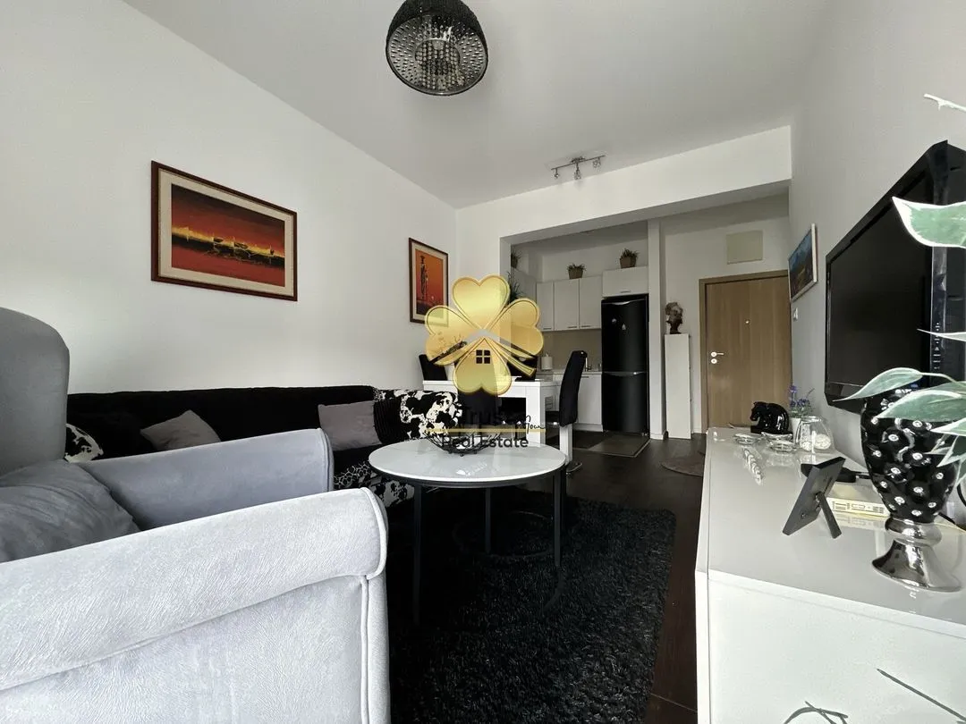 Rent, one bedroom apartment, 50m², Vezirov Most, Podgorica