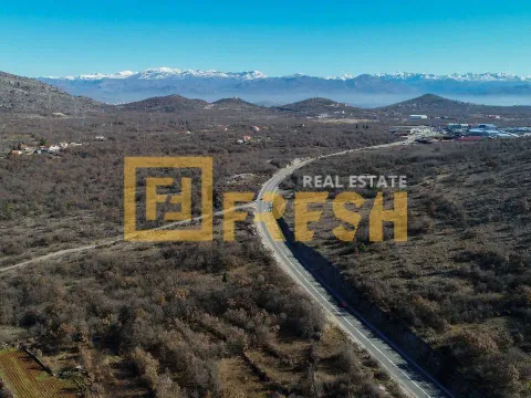 Sale, land lot, 30000m², Farmaci, Podgorica - image 2