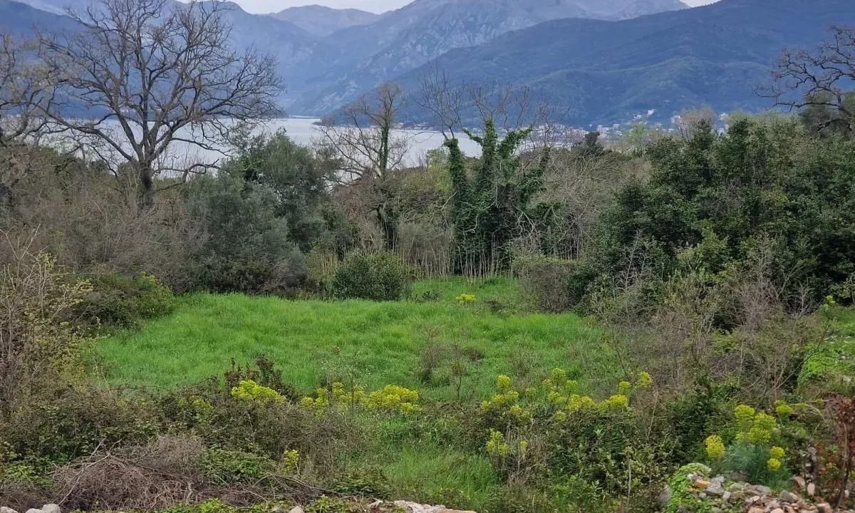 Prodaja, plac, 900m², Gošići, Tivat