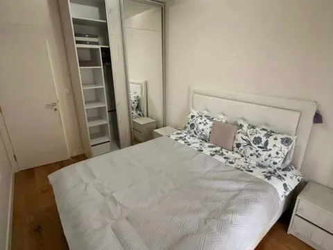 Izdavanje, jednosoban stan, 52m², Central Point, Podgorica - image 8