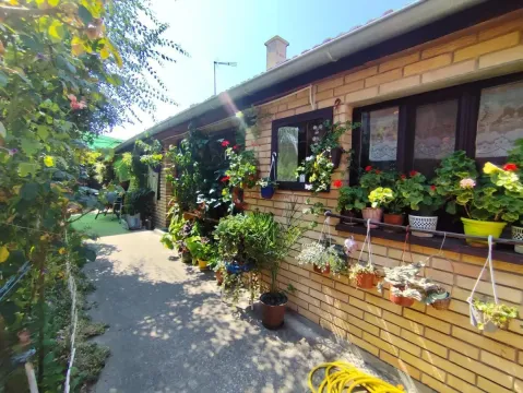 Prodaja, kuća, 102m², Novo Selo, Subotica - image 3