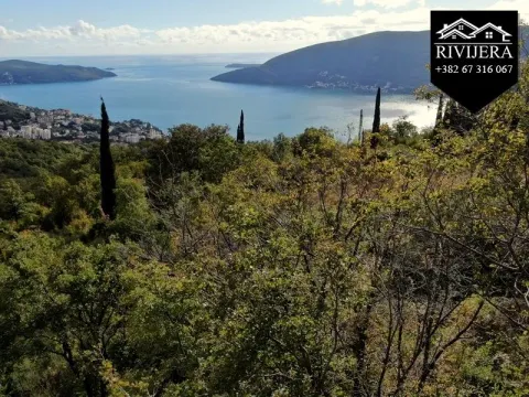 Prodaja, plac, 3849m², Trebesinj, Herceg Novi - image 6