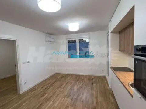 Izdavanje, stan, 49m², Zemun Sve Podlokacije, Beograd - image 3