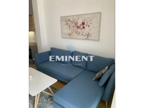 Izdavanje, stan, 30m², Novi Beograd Blok 65, Novi Beograd Sve Podlokacije - image 2