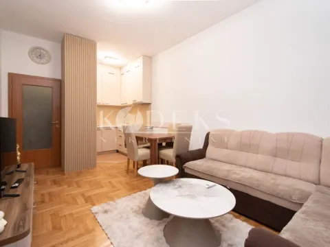 Izdavanje, jednosoban stan, 43m², Tuški Put, Podgorica - image 11