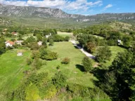 Sale, land lot, 2000m², Donji Martinići, Danilovgrad - image 3