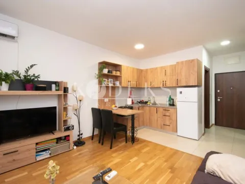 Izdavanje, garsonjera, 29m², Ljubović, Podgorica - image 4