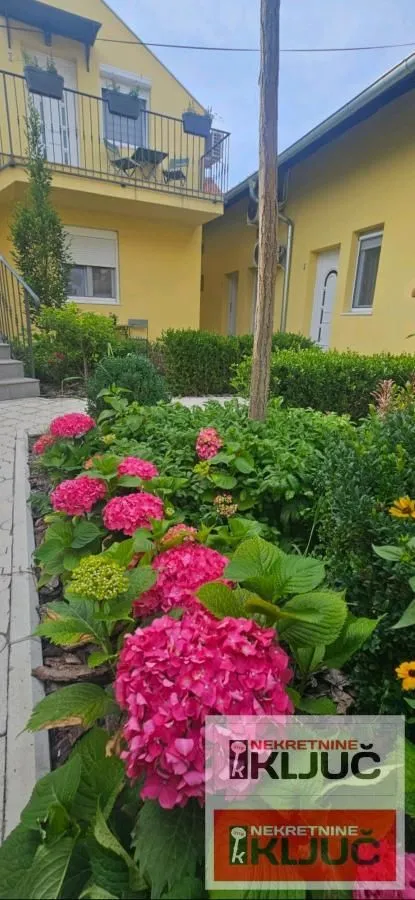 Izdavanje, jednosoban stan, 36m², Centar, Novi Sad
