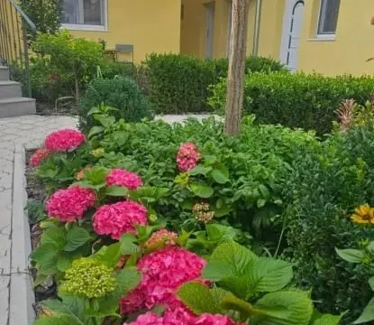 Izdavanje, jednosoban stan, 36m², Centar, Novi Sad - image 21