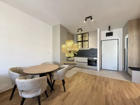 Izdavanje, jednosoban stan, 50m², Stari Aerodrom, Podgorica - image 2