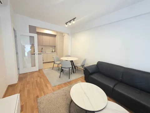 Izdavanje, jednosoban stan, 47m², Zabjelo, Podgorica - image 1