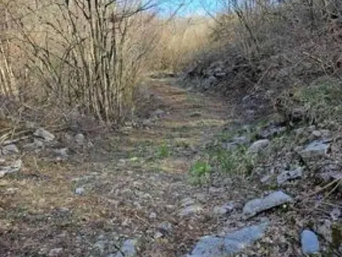 Prodaja, plac, 93700m², Risan, Kotor - image 2