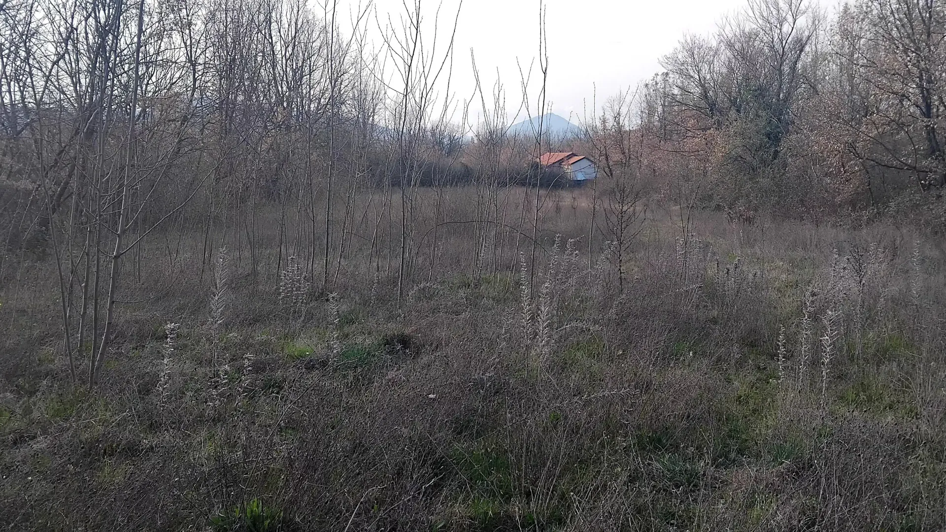 Prodaja, plac, 2400m², Dajbabe, Podgorica