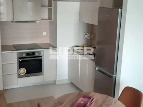 Rent, two bedroom apartment, 54m², Savski Venac, Beograd - image 8