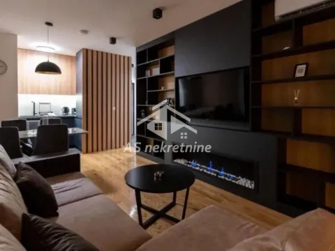 Izdavanje, dvosoban stan, 55m², Južni Bulevar, Vračar Sve Podlokacije - image 4