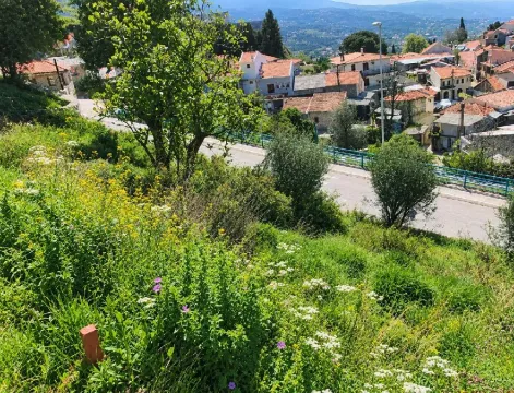 Pogled iz visine na naselje i okolnu prirodu. - image 2