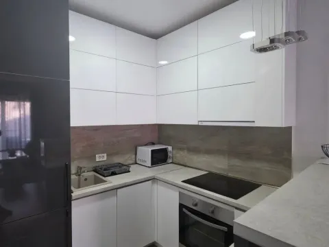 Rent, one bedroom apartment, 47m², Zabjelo, Podgorica - image 1