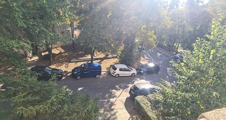 Pogled sa prozora na ulicu sa parkiranim automobilima i drvećem.