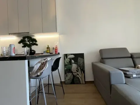 Rent, one bedroom apartment, 44m², Budva, Crna Gora - image 5