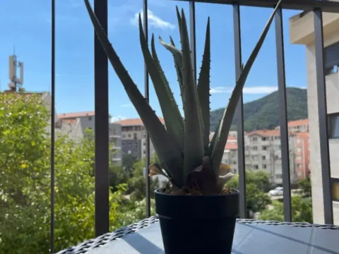 Rent, one bedroom apartment, 44m², Babilonija, Budva - image 6