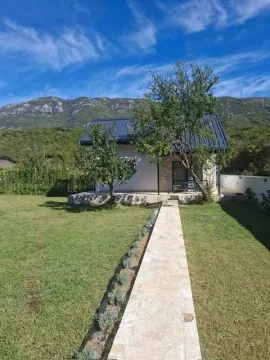 Exterior of the house with landscaped yard, walkway and mountain view. - image 9