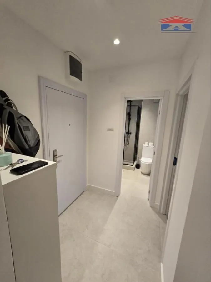 Rent, one bedroom apartment, 40m², Grbavica, Novi Sad Sve Podlokacije