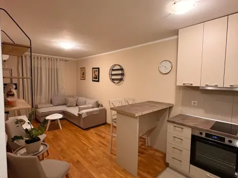 Rent, one bedroom apartment, 33m², Zabjelo, Podgorica - image 2
