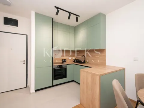 Rent, one bedroom apartment, 48m², Stari Aerodrom, Podgorica - image 4