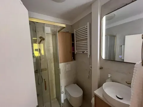 Kupatilo opremljeno tuš kabinom, umivaonikom i wc šoljom. - image 16