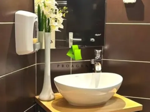 Izdavanje, stan, 25m², Pantelej, Niš - image 6