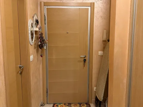 Prodaja, jednosoban stan, 44m², Zabjelo, Podgorica - image 1