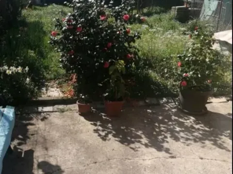 Prodaja, kuća, 162m², Zabjelo, Podgorica - image 3