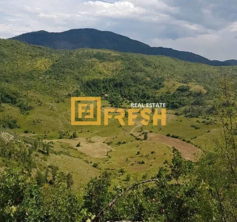 Sale, land lot, 896000m², Nikšić, Crna Gora