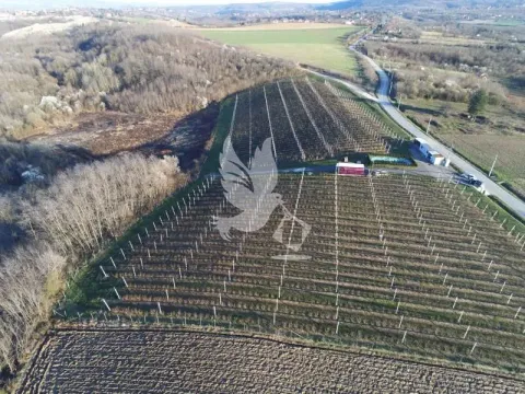 Prodaja, plac, 20000m², Nemenikuće, Sopot - image 14