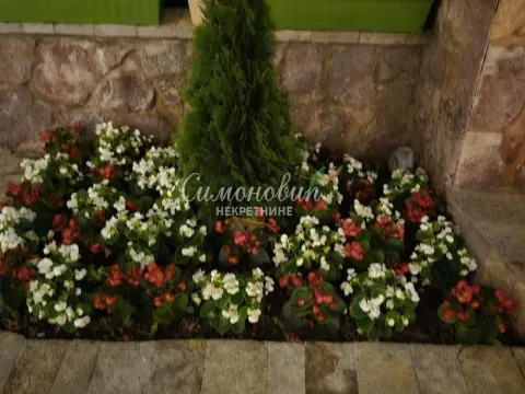 Prodaja, kuća, 830m², Savski Venac, Beograd - image 12