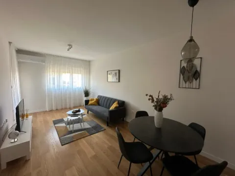 Izdavanje, jednosoban stan, 49m², Central Point, Podgorica - image 4