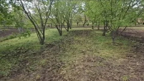 Prodaja, kuća, 84m², Žabalj, Srbija - image 6