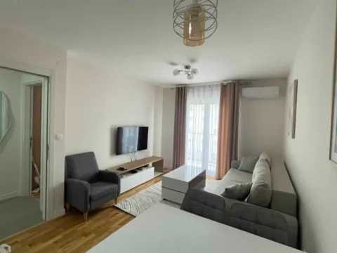 Izdavanje, jednosoban stan, 47m², Zabjelo, Podgorica - image 8