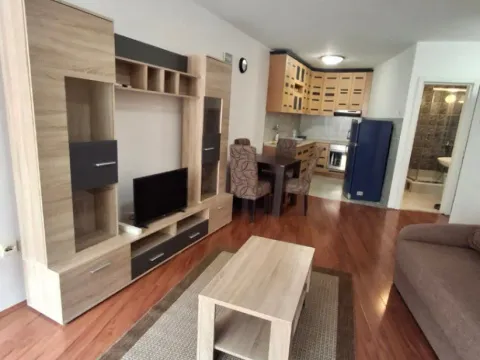 Rent, one bedroom apartment, 54m², Adok, Budva - image 6