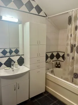 Kompaktno kupatilo sa umivaonikom, kadom i belim ormarićem za odlaganje. - image 16