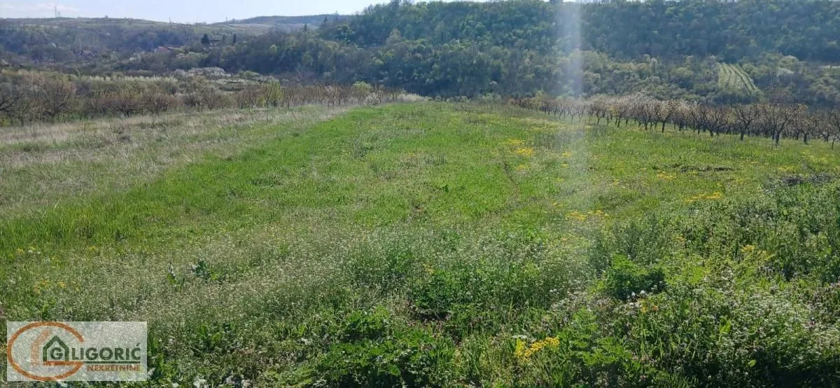 Sale, land lot, 5220m², Grocka, Beograd