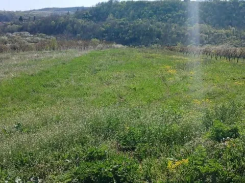 Prodaja, plac, 5220m², Grocka, Beograd - image 2